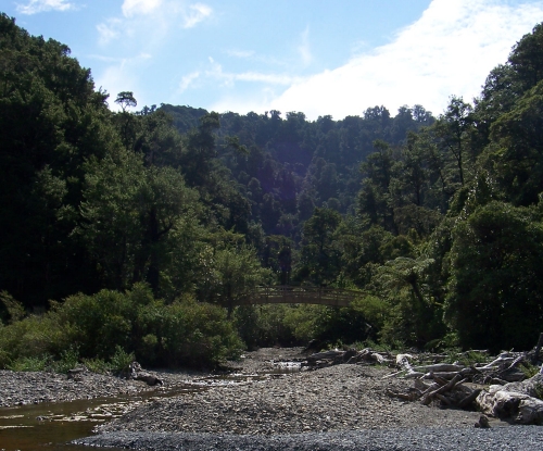 The Turere Stream flows into the Orongorongo River