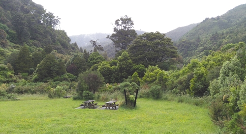 One of the many Catchpool picnic areas near the top car park adjacent to our eco-hotspot
