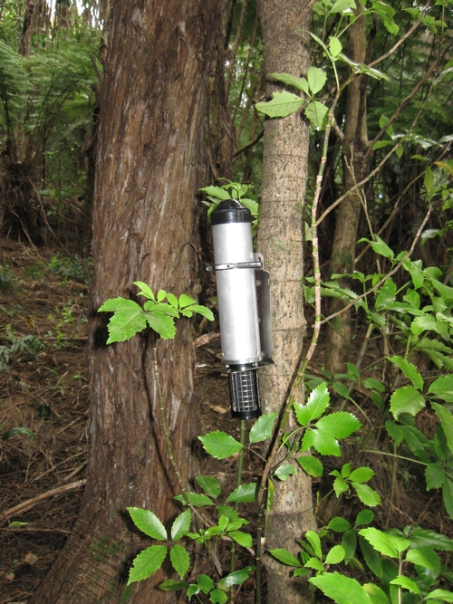 Acoustic recorder on a tree set to record bird song