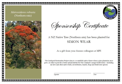 Sponsor a Tree Certificate example - (Northern rata)