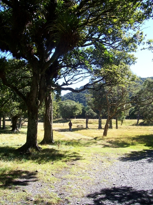 Park entrance at Waiorongomai - on the eastern, Wairarapa side of the Rimutaka Forest Park
