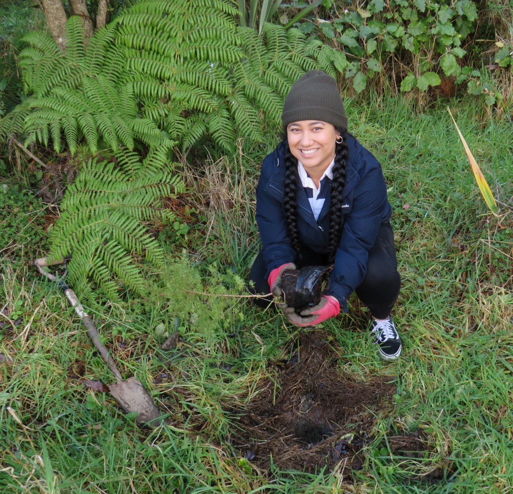 Ministry for Environment team member planting kanuka (Kunzea robusta) on her Volunteer Day down at the Remutaka Forest Park