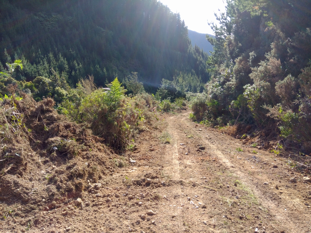 Start of the new access road that goes up the hill gully from the valley floor